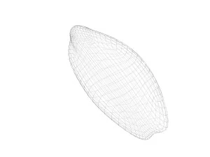 Brown Cocoa Fruit 3D Model