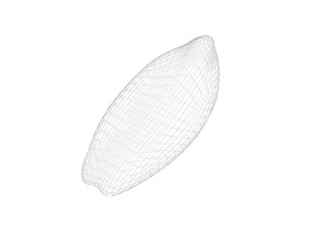 Brown Cocoa Fruit 3D Model