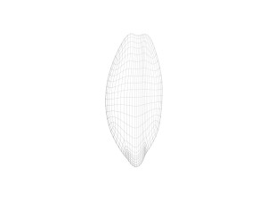 Brown Cocoa Fruit 3D Model