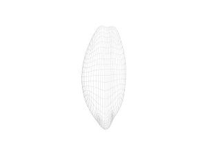 Brown Cocoa Fruit 3D Model