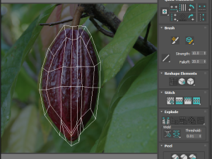 Brown Cocoa Fruit 3D Model