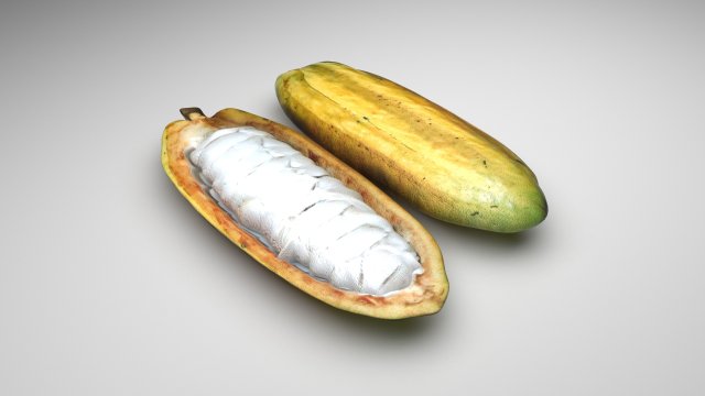 Opened and Unripe Cocoa Fruit Modelo 3D .c4d .max .obj .3ds .fbx .stl .blend 