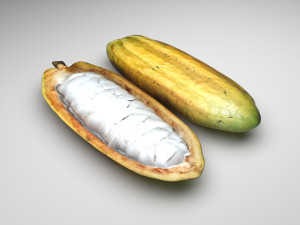 Opened and Unripe Cocoa Fruit 3Dモデル
