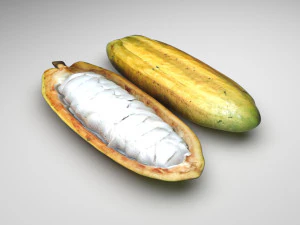 Frutto di cacao aperto e non maturo Modello 3D