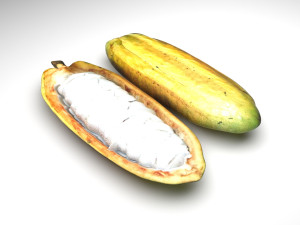 Opened and Unripe Cocoa Fruit Modelo 3D