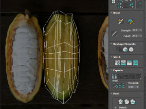 Opened and Unripe Cocoa Fruit Modelo 3D