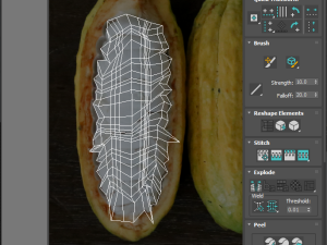 Opened and Unripe Cocoa Fruit Modelo 3D