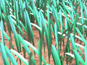 Grass 3D 모델
