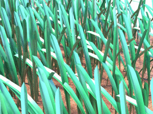 Grass 3D 모델