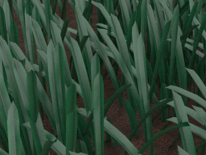 Grass 3D 모델
