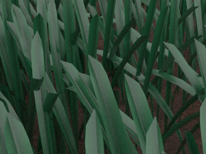 Grass 3D 모델