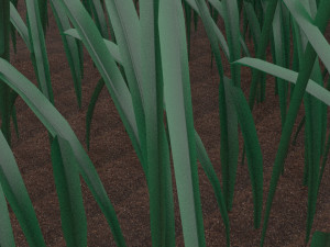 Grass 3D 모델