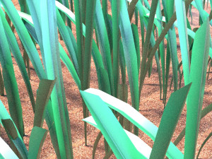 Grass 3D 모델
