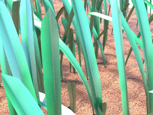 Grass 3D 모델