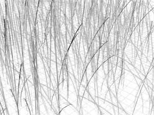 Grass 3D Model