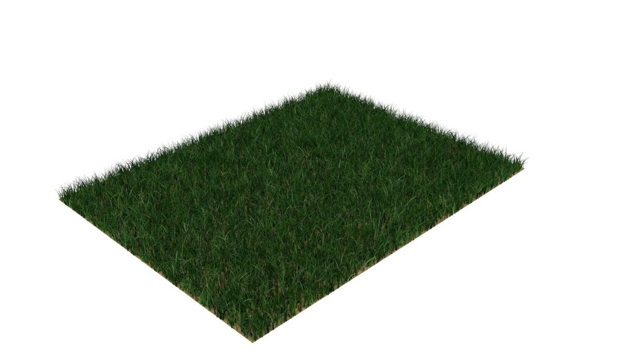 Grass 3D Model .c4d .max .obj .3ds .fbx .stl .blend 