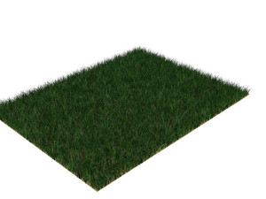 Grass 3D Model