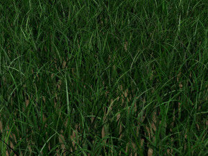 Grass 3D मॉडल