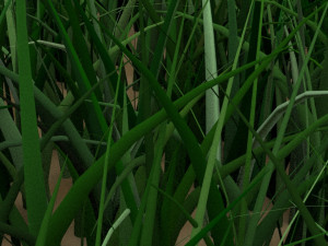 Grass 3D मॉडल