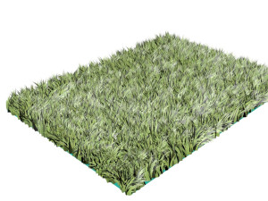 Grass 3Dモデル