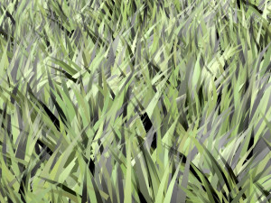 Grass Modelo 3D