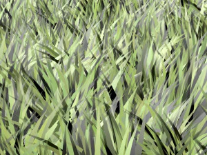 Grass 3D Model