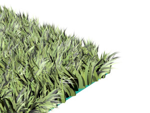 Grass Modelo 3D