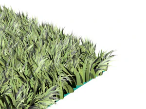 Grass 3D Model