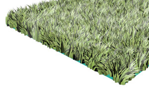Grass Modelo 3D