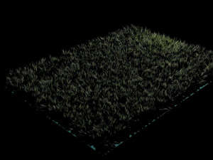 Grass Modelo 3D