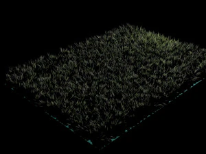 Grass 3D Model