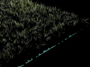 Grass 3D Model
