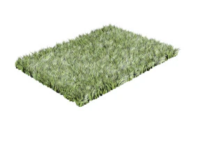 Grass 3D Model