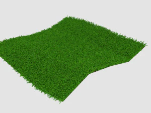 Gras 3D Model