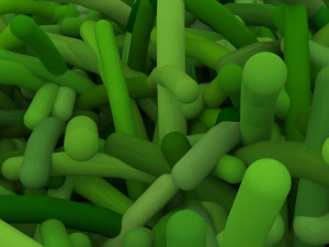 Grass Modèle 3D