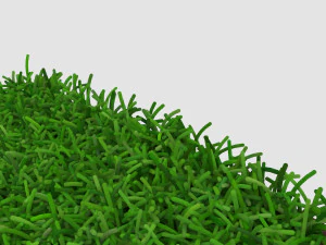 Grass 3D Model