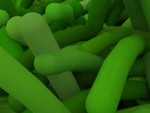 Grass 3D Model