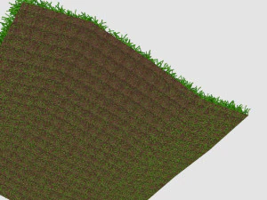 Grass 3D Model