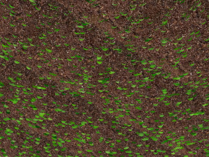 Grass Modèle 3D