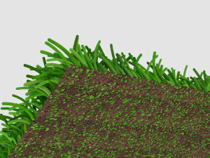 Grass 3D Model