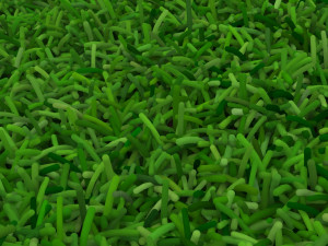 Grass Modèle 3D