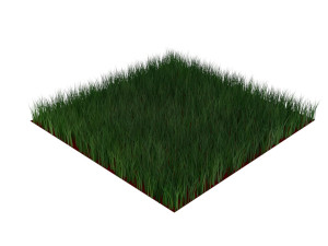 Grass Model 3D