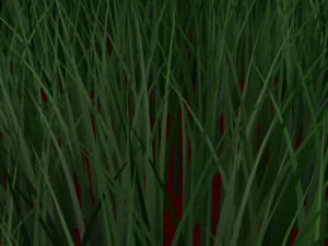 Grass Model 3D