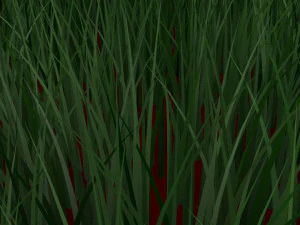 Grass 3D Model
