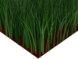 Grass Model 3D