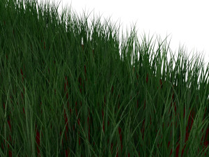 Grass Model 3D