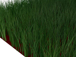 Grass 3D Model