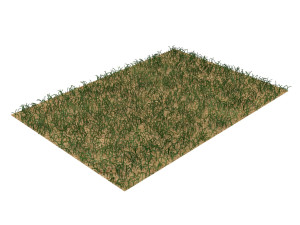 Grass Model 3D