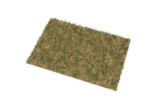 Grass Model 3D