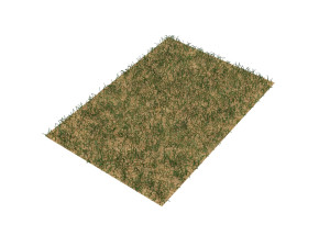 Grass Model 3D